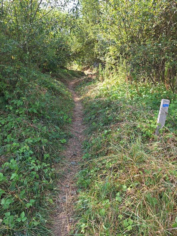View of the path alongside the railway track. Vegetation has been cleared back.